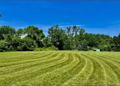 Philips Property Maintenance - Tree & Shrub Care in Whitesboro, NY