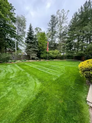 Christian Brothers Outdoor Services - Tree & Shrub Care in Grant, MI