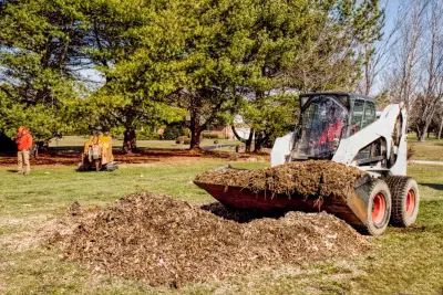 Greenleaf Tree Service - Tree & Shrub Care in New Milford, CT