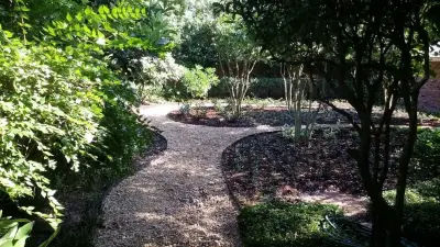 Shadowed Oasis — Landscape Construction project by Louisiana Horticulture Services