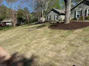 Lawn Frogs Landscaping - Tree & Shrub Care in Dallas, GA