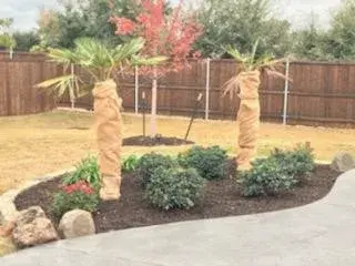 All-Out Landscaping & Construction - Fence Installation in Dallas, TX