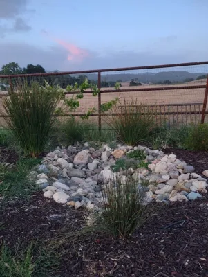 Carmichael Environmental - Patio Design & Installation in Los Osos, CA