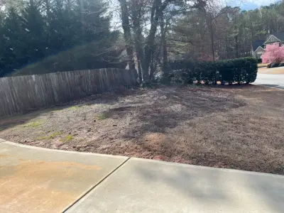 Lawn Frogs Landscaping - Tree & Shrub Care in Dallas, GA