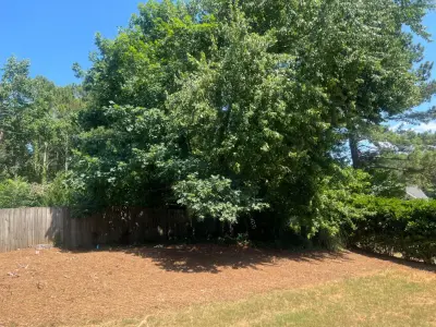 Lawn Frogs Landscaping - Tree & Shrub Care in Dallas, GA
