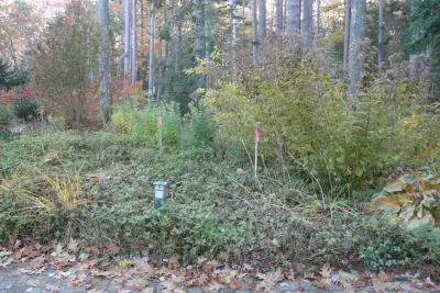 MDI Grows - Fence Installation in Ellsworth, ME
