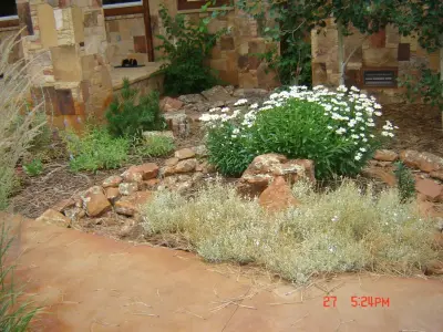 Colorado Dreamscapes - Deck Building & Repair in Pagosa Springs, CO