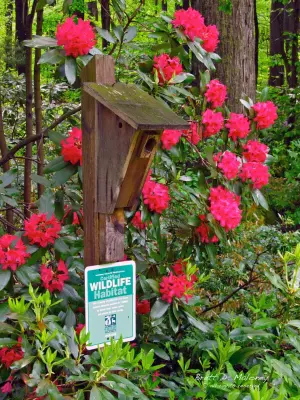 Brett Maloney Landscapes, LLC - Custom Home Builders in North East, PA
