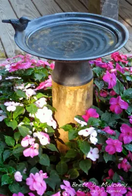 Brett Maloney Landscapes, LLC - Custom Home Builders in North East, PA