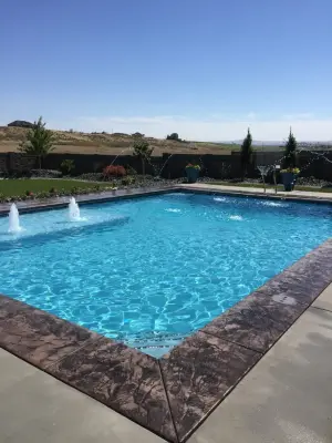 Albin Swimming Pool — Landscape Construction project by Premier Landscaping & Design, Inc. / Premier Pools