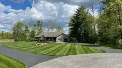 All-American Landscaping - Tree & Shrub Care in Midland, MI