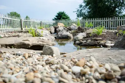 Aquatic Edge Pond & Landscape Solutions - Landscape Design in Jeannette, PA