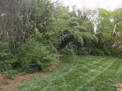 Bullington Land Management Corp. - Landscape Construction in Knoxville, TN