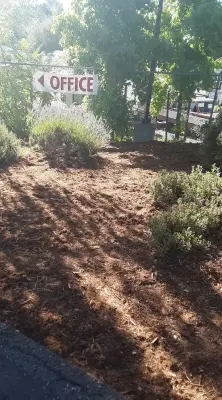 Waterman Landscaping - Landscape Design in Diamond Springs, CA