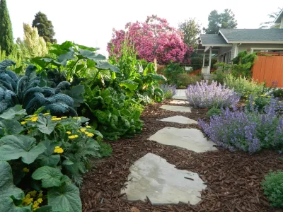 Carmichael Environmental - Patio Design & Installation in Los Osos, CA
