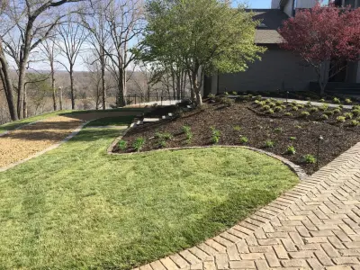 Professional Landscaping Company - Tree & Shrub Care in Springdale, AR