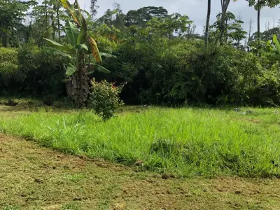 Moylan Maintenance - Design-Build Services in Pahoa, HI