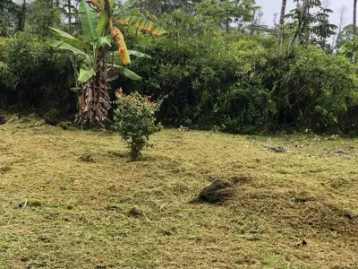 Moylan Maintenance - Design-Build Services in Pahoa, HI