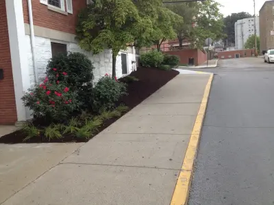 Greenway Horticultural Group LLC - Tree & Shrub Care in Morgantown, WV