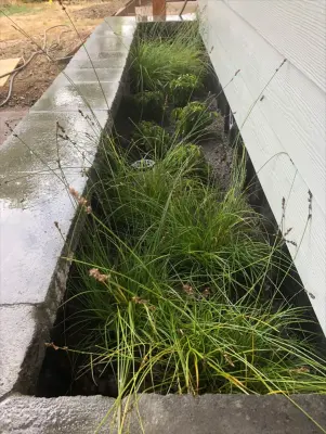Stormwater Management Features — Landscape Construction project by LandArc Landscaping & Design