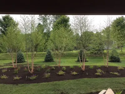 Woody Plants and Perennial Flowers — Landscape Construction project by Blue Fox Landscape Design Inc