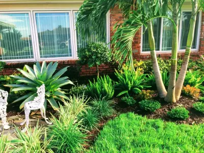Photoscape Landscape and Design - Tree & Shrub Care in Fort Myers, FL