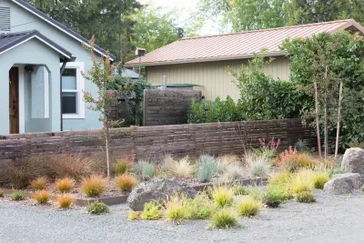 Regenesis Ecological Design - Tree & Shrub Care in Ashland, OR