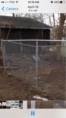 Tri-State landscaping &a construction services - Tree & Shrub Care in Schenectady, NY