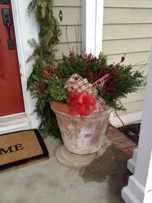 Holiday Season — Landscape Construction project by Bruce Ewing