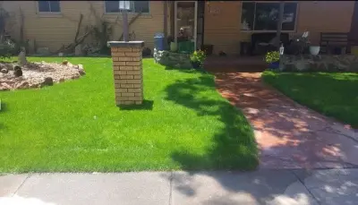 Clean-Cut Lawn Service, INC - Tree Planting & Transplanting in Las Cruces, NM
