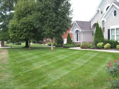 Crider Landscaping - Tree & Shrub Care in Soddydaisy, TN