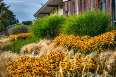 ProScapes Designed PLAYHOUSE DENTAL Landscaping — Landscape Construction project by ProScapes
