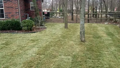Yard Maintenance — Landscape Construction project by Grass Solutions