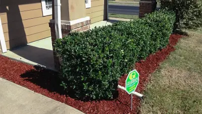 Grass Solutions - Patio Design & Installation in Owasso, OK