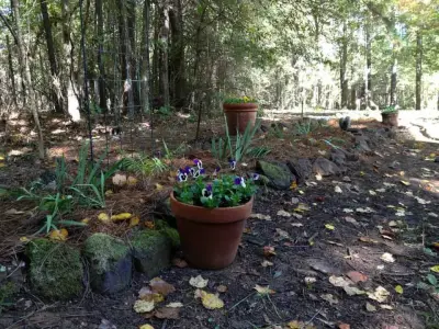 Ruston Landscaping LLC - Tree & Shrub Care in Simsboro, LA
