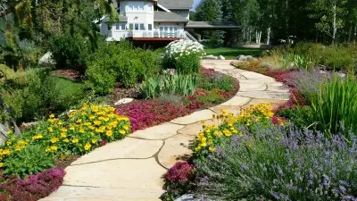 Building Project — Landscape Construction project by Novus Landscape