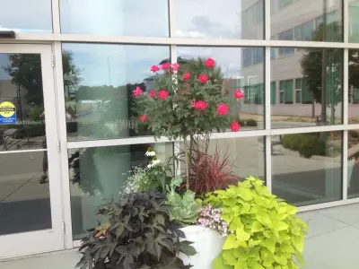 Greenway Horticultural Group LLC - Tree & Shrub Care in Morgantown, WV