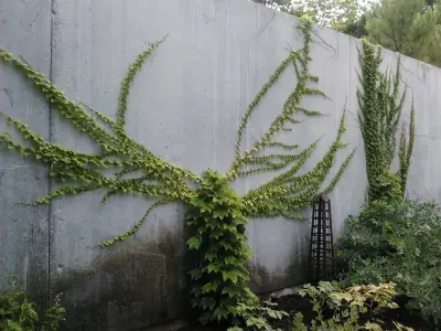 Modern Terrain — Landscape Construction project by Inside - Out Designs LLC
