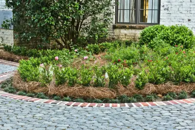 Mobile Country Club Road, AL — Landscape Construction project by Bay Landscaping, Inc.