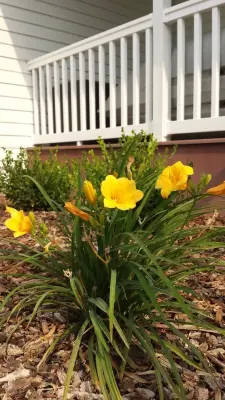 Rural Lifestyle — Landscape Construction project by Kimberly Nurseries Landscaping & Irrigation