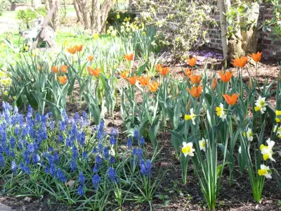 Greenway Horticultural Group LLC - Tree & Shrub Care in Morgantown, WV