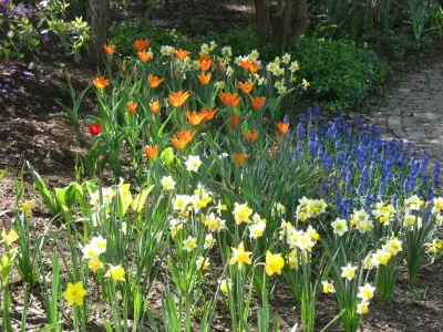 Greenway Horticultural Group LLC - Tree & Shrub Care in Morgantown, WV