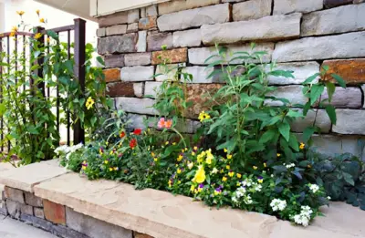 San Juan Landscapes - Landscape Construction in Telluride, CO