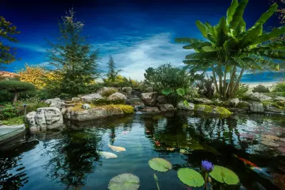 Modern Design Aquascaping - Landscape Design in Friendsville, TN