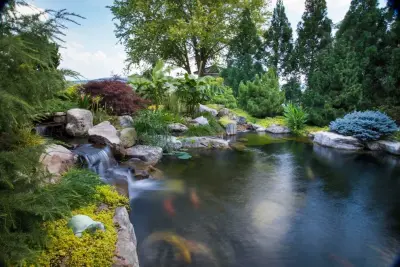 Modern Design Aquascaping - Landscape Design in Friendsville, TN