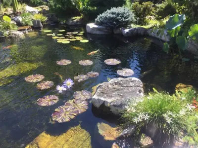 Modern Design Aquascaping - Landscape Design in Friendsville, TN