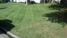 Roe's Landscaping - Landscape Construction in Abingdon, VA