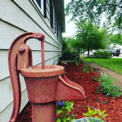 Organic Endeavors, LLC - Tree & Shrub Care in Owen, WI