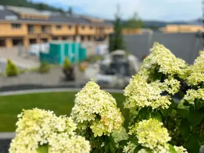PNW Landscape & Design - Design-Build Services in Spokane Valley, WA