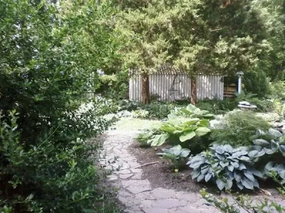 Green Lawns LLC - Landscape Construction in Dover, DE